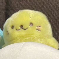 しばふ (@482_482_) Twitter profile photo