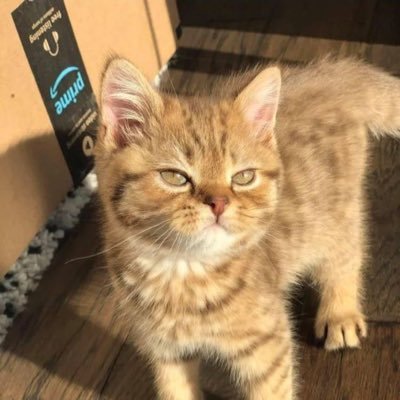 다 잘먹습니다