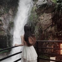 Tamiko🌸🌸 (@r458476) Twitter profile photo
