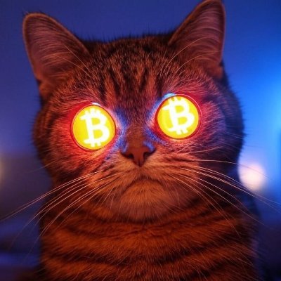 🔸Catty ₿ LASER FOCUSED 🔸
🔸EDUCATION & ENTERTAINMENT 🔸
🔸₿ULLISH VIBES ONLY🔸
🔸STACK ₿ITCOIN 💎🙌🔸