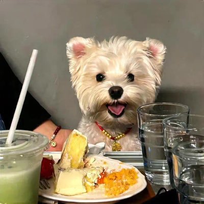 lucy08051823's profile picture.