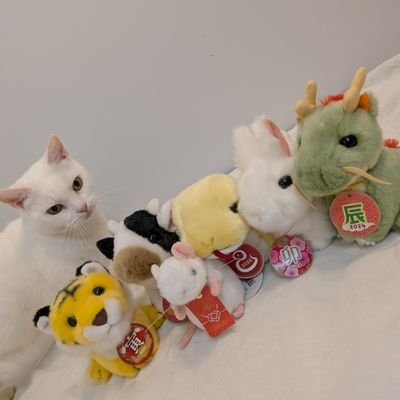 あー坊さんのプロフィール画像