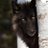 4Deb61's profile image