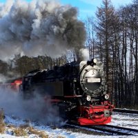 El_Tren (@adolfo_eltren) 's Twitter Profile