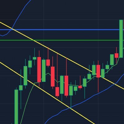 trader_fla28789's profile picture. Equity & index options trader journaling my trades