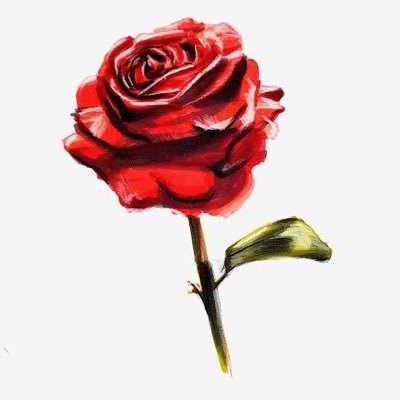 Rosedog007's profile picture. トランプ集めおじさん