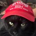 MomMomTrump 🇺🇸🇺🇸🇺🇸🇺🇸 (@sichercarol) Twitter profile photo MomMomTrump 🇺🇸🇺🇸🇺🇸🇺🇸 (@sichercarol) Twitter profile photo