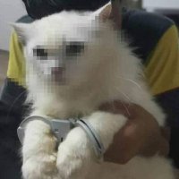 Gat (@soc1gat) 's Twitter Profile Photo Gat (@soc1gat) 's Twitter Profile Photo