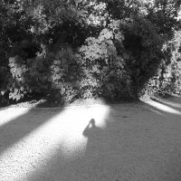 Rubén Blanes Mora (@blanes_mora) 's Twitter Profile