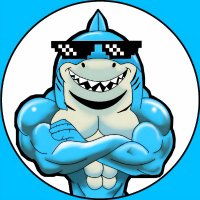 SharKui (@kui_on_sui) 's Twitter Profile
