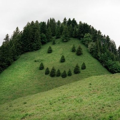 lostwildland's profile picture. 