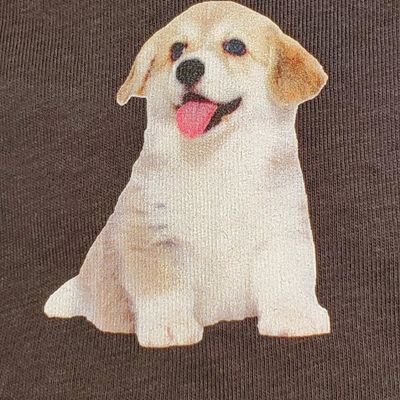 芽美☆*。さんのプロフィール画像