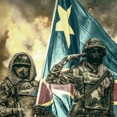 djo_patrick001's profile picture. Licencié en Gestion financière, Sales Manager et expert en B2B et B2C