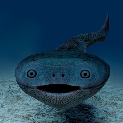 check pinnedさんのプロフィール画像