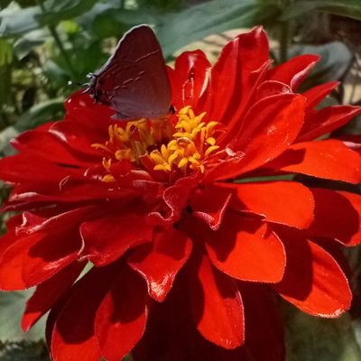 SamElliott4473's profile picture. 