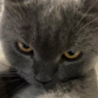 Rlig (@rligni16) 's Twitter Profile Photo Rlig (@rligni16) 's Twitter Profile Photo