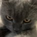 Rlig (@rligni16) Twitter profile photo Rlig (@rligni16) Twitter profile photo