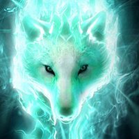 Lunar Wolf (@roudri543) 's Twitter Profile