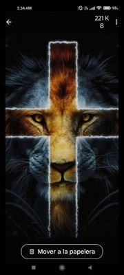 leon14946's profile picture. 
