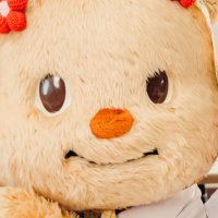 Astropuff (@astrawpuff) 's Twitter Profile