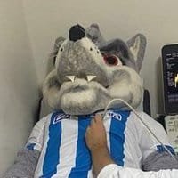 PAYSHIT (@payshitpost) 's Twitter Profile