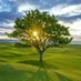 Divine Nature (@naturalworldss) Twitter profile photo Divine Nature (@naturalworldss) Twitter profile photo