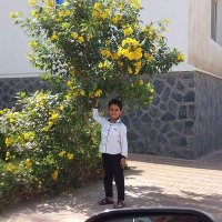 محمد mohmed alnakebe اليمن (@qbsbephb4qt5ziw) 's Twitter Profile