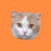 もり🐑 (@141496) Twitter profile photo もり🐑 (@141496) Twitter profile photo