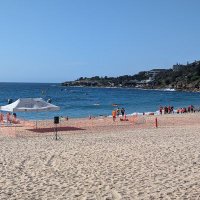 STFCinOZ - Swindon Town Fans in Australia (@stfcinoz) 's Twitter Profile