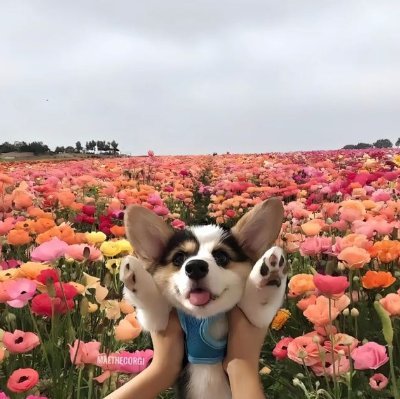 MichaelmiCh_ael's profile picture. ✈️I am passionate about reading, traveling, news and exploring new cultures, drawing inspiration from every part of life. I believe that every reading can open