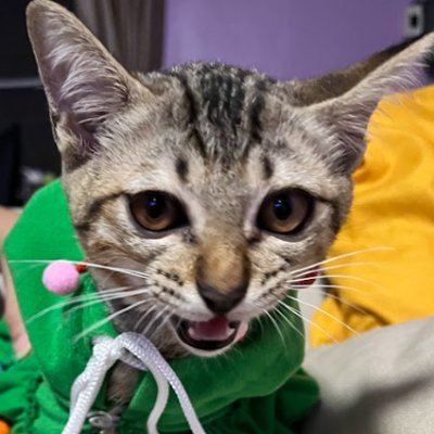 CASPERさんのプロフィール画像