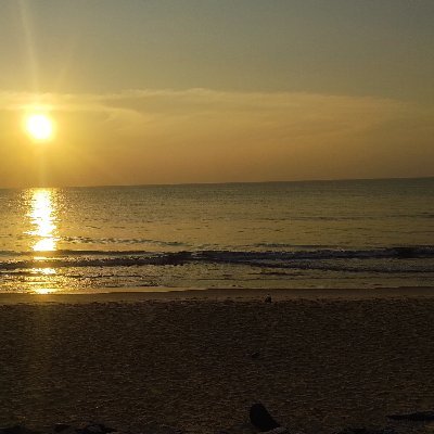 KhushhalAh75137's profile picture. 