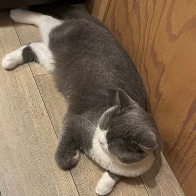 KK_8426's profile picture.