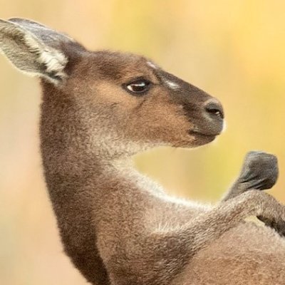 Melted_Mickey's profile picture. https://t.co/QKlHgjPe4a…

https://t.co/xzKiXPdbu5