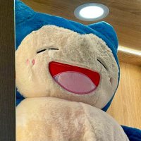 もみ (@momidayooo) 's Twitter Profile Photo