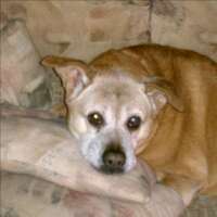 hc0303's profile picture. 