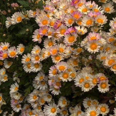 seo__rang__'s profile picture. 그럼 난 웅크린 네 위에 웅크려 너를 품어줄 거야. 네가 혼자가 아니라는 사실을 그렇게 알려줄 거야.