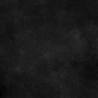 David (@davidsonted5) 's Twitter Profile