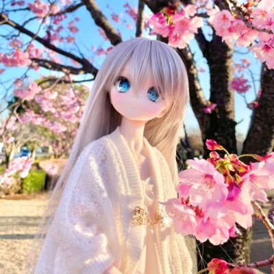 空～sora～さんのプロフィール画像