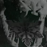 SnowGuard (@snowguard_) 's Twitter Profile