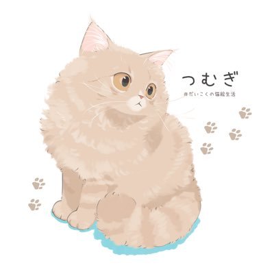猫の紬🐈サイベリアンさんのプロフィール画像