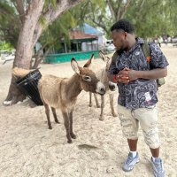 BigGeto (@biggeto3) 's Twitter Profile
