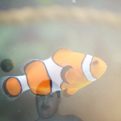 tommyinnit83473's profile picture. faking it on some rain sounds trap soul shit all tha way #betterytwt