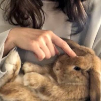 study_nenn's profile picture. 薬学部大学3年生￤👧🏻