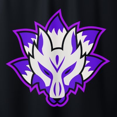 Club esport @LeagueofLegends 🌟 Beware Victory is an illusion 📧 Contact : hadeesport.contact@gmail.com #KitsuneVictory 🦊