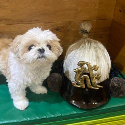 質問はhttps://t.co/MGifsOIJXKへ/ファンはさしみと呼ばれます/名犬おすし号スタンプはLINEスタンプショップで「名犬おすし号」と検索/武道家、相馬野馬追の騎馬武者/名馬アトミックフォースのオーナー🌈/公式動画https://t.co/JWRaUiK4Nf