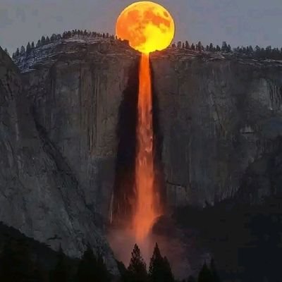 BecheroulM75482's profile picture. 