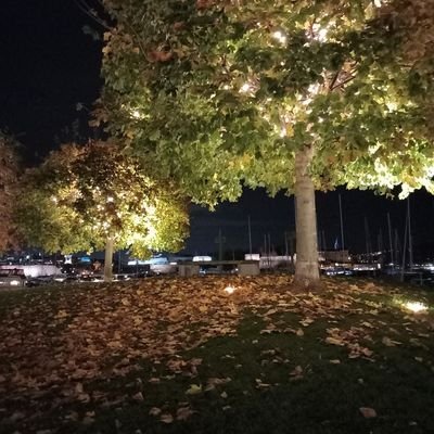 Lilyna767641's profile picture. 