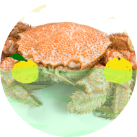 猫丸🦀 (@nekomaru328) 's Twitter Profile Photo 猫丸🦀 (@nekomaru328) 's Twitter Profile Photo