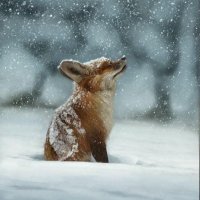 Müge (@ijsftk) 's Twitter Profile